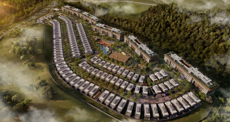 Alameda: casas e edifícios junto à mata