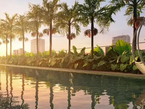 Piscina do Symmetry Residence com palmeiras ao entardecer
